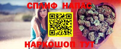 крисы Бузулук