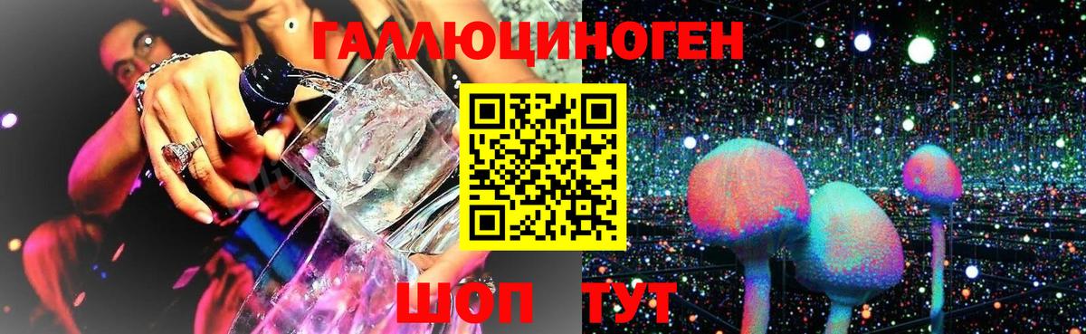 Псилоцибиновые грибы Psilocybine cubensis Протвино