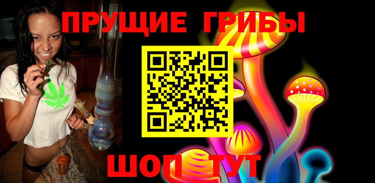 Протвино  Псилоцибиновые грибы Psilocybe  Вход с VPN 